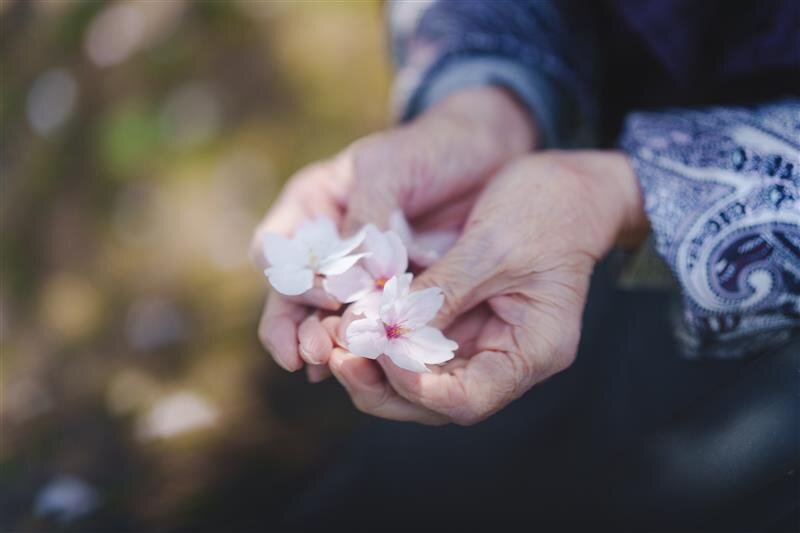 Image - 2026-04-23T100925.991.jpg