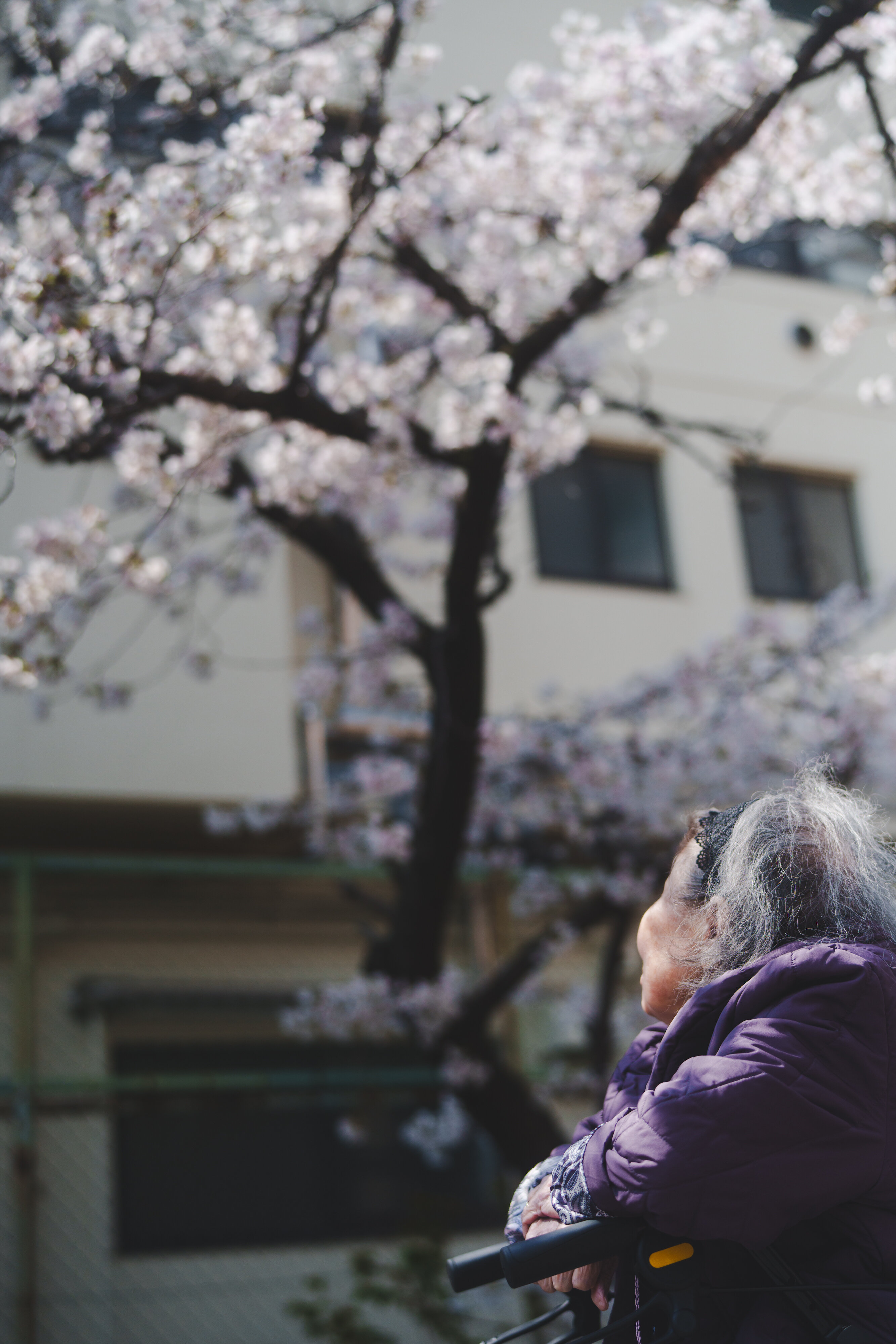 Image - 2026-04-23T100947.016.jpg